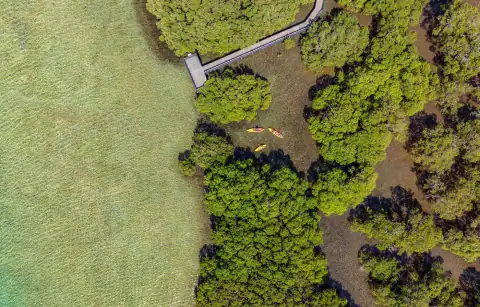 Drone view of the bay