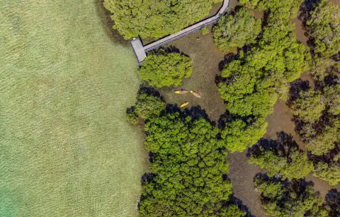 Drone view of the bay