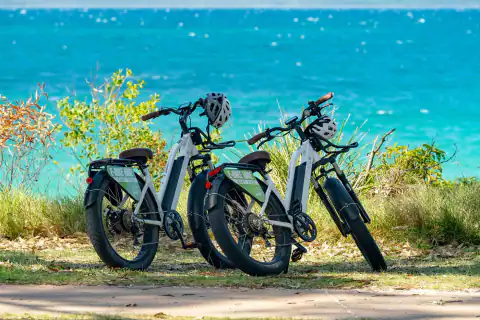 E-bikes on the Round the Bay track