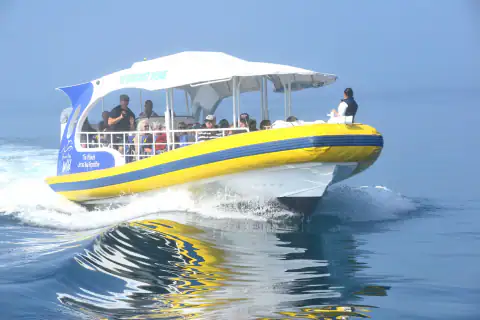 Guests on deck