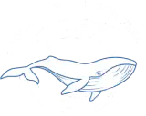 Sydney Whale Whisperer