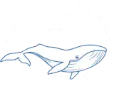 Sydney Whale Whisperer
