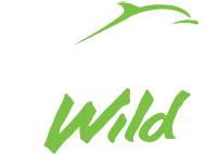 Jervis Bay Wild