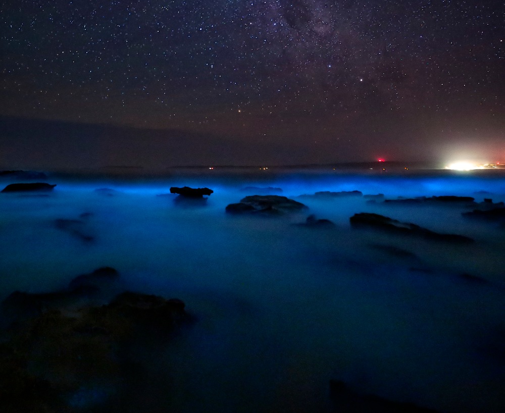 Bioluminescence in Jervis Bay