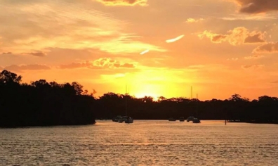 whale watch cruise huskisson